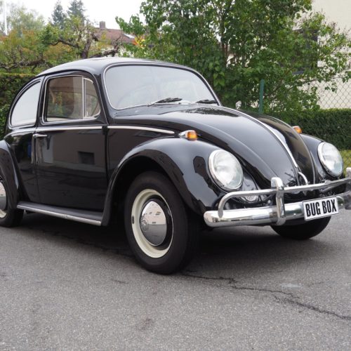 VW K&auml;fer 1200