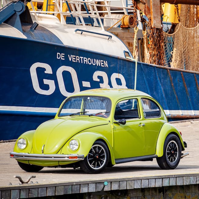 Cal Look Beetle